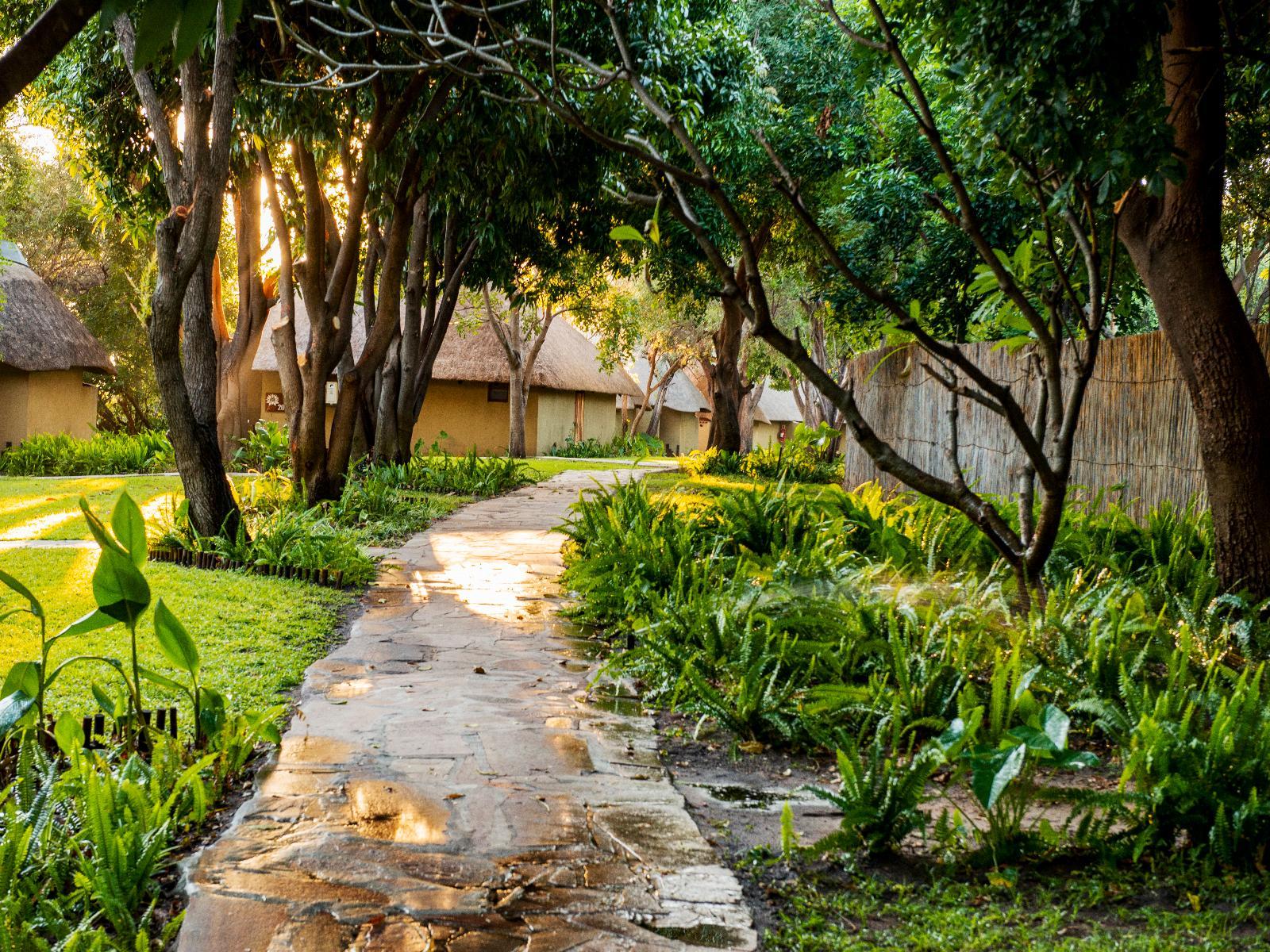 Tented camp