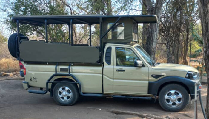 Game drive